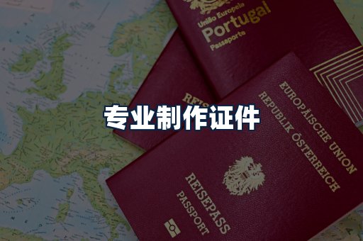 专业制作证件